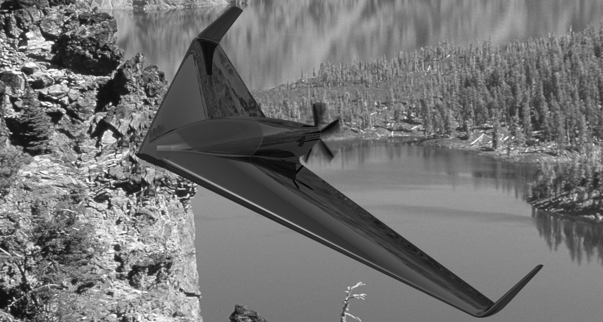 ELECTRAVIA E-PROPS FLIGHT WING